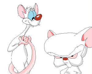 pinky_and_the_brain_by_dwolv.jpg